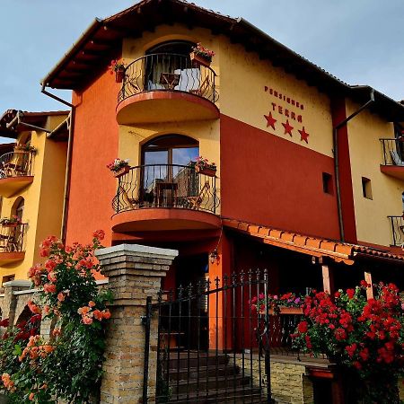 Pension Terra Alba Iulia Buitenkant foto